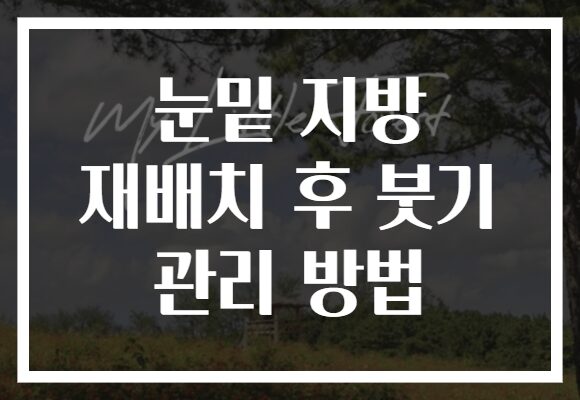 눈밑 지방 재배치 후 붓기 관리 방법