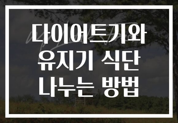 다이어트기와 유지기 식단 나누는 방법