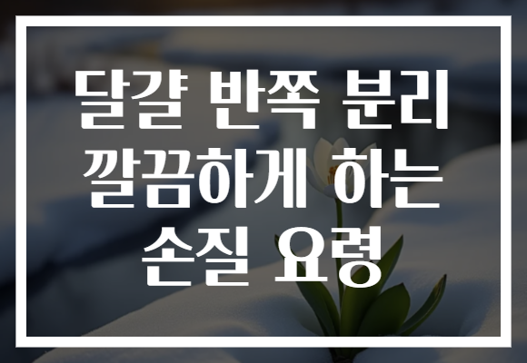달걀 반쪽 분리 깔끔하게 하는 손질 요령
