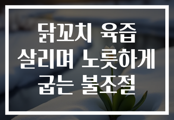 닭꼬치 육즙 살리며 노릇하게 굽는 불조절