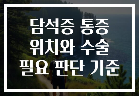 담석증 통증 위치와 수술 필요 판단 기준