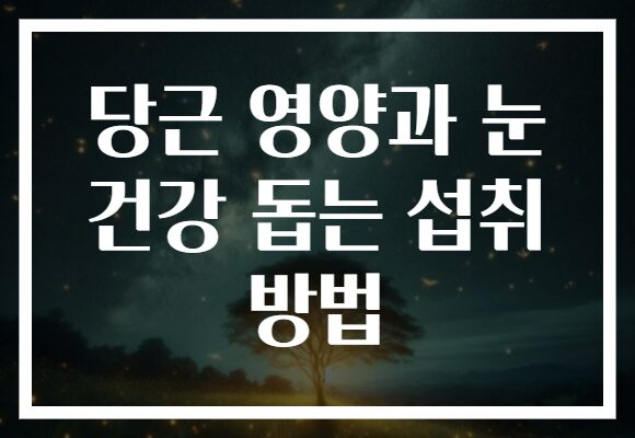 당근 영양과 눈 건강 돕는 섭취 방법