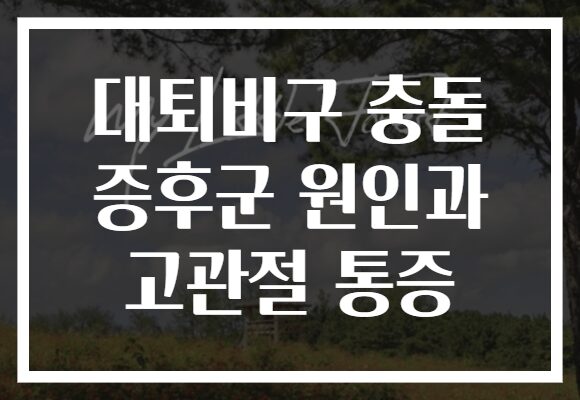 대퇴비구 충돌 증후군 원인과 고관절 통증