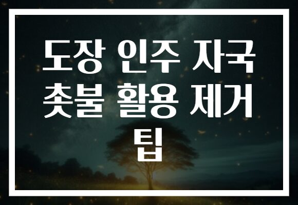 도장 인주 자국 촛불 활용 제거 팁