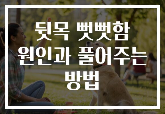 뒷목 뻣뻣함 원인과 풀어주는 방법