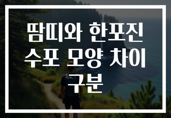 땀띠와 한포진 수포 모양 차이 구분