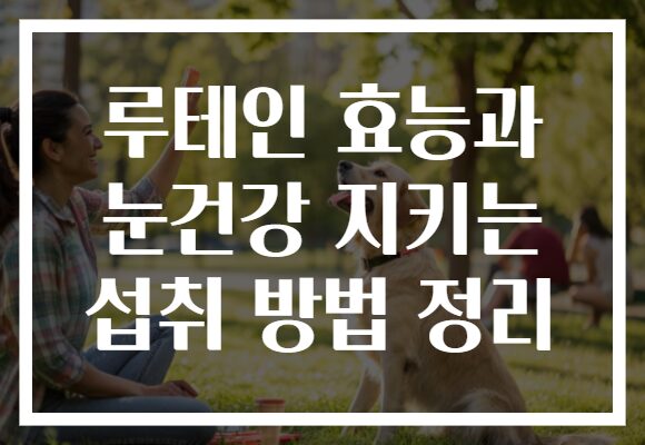 루테인 효능과 눈건강 지키는 섭취 방법 정리