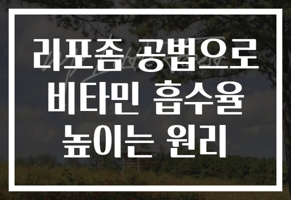 리포좀 공법으로 비타민 흡수율 높이는 원리