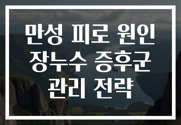 만성 피로 원인 장누수 증후군 관리 전략