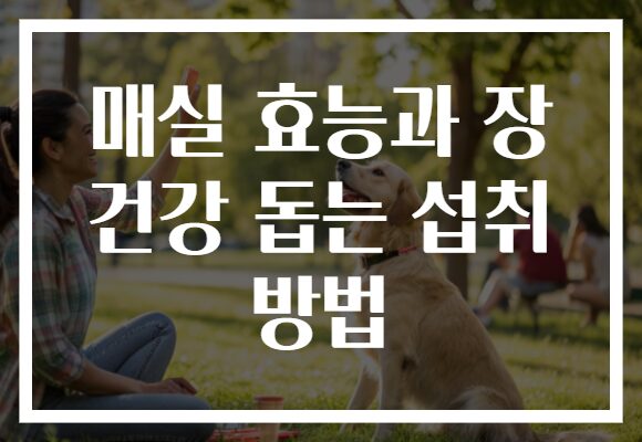 매실 효능과 장 건강 돕는 섭취 방법