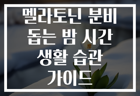 멜라토닌 분비 돕는 밤 시간 생활 습관 가이드