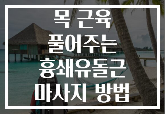 목 근육 풀어주는 흉쇄유돌근 마사지 방법