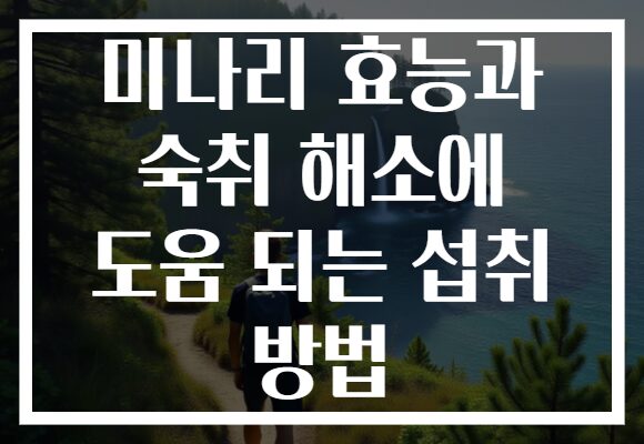 미나리 효능과 숙취 해소에 도움 되는 섭취 방법