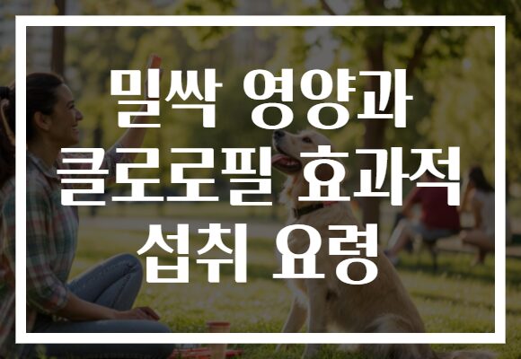 밀싹 영양과 클로로필 효과적 섭취 요령