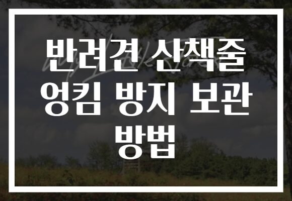 반려견 산책줄 엉킴 방지 보관 방법