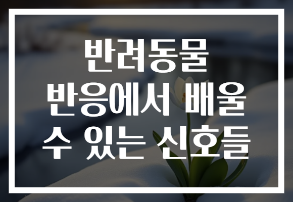 반려동물 반응에서 배울 수 있는 신호들