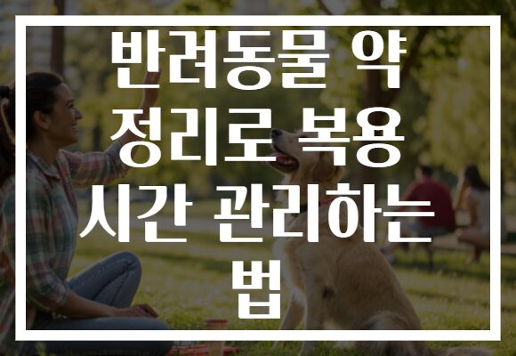 반려동물 약 정리로 복용 시간 관리하는 법