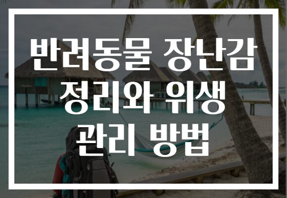 반려동물 장난감 정리와 위생 관리 방법