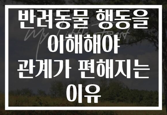 반려동물 행동을 이해해야 관계가 편해지는 이유