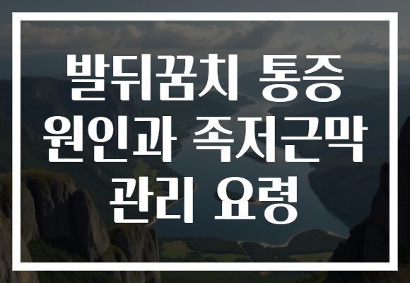 발뒤꿈치 통증 원인과 족저근막 관리 요령