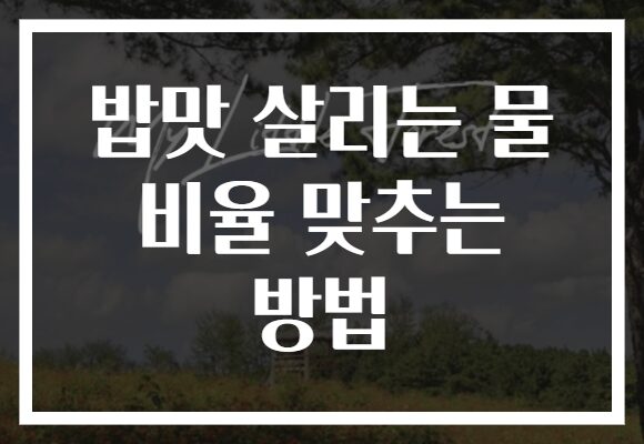 밥맛 살리는 물 비율 맞추는 방법