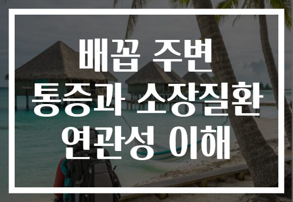 배꼽 주변 통증과 소장질환 연관성 이해