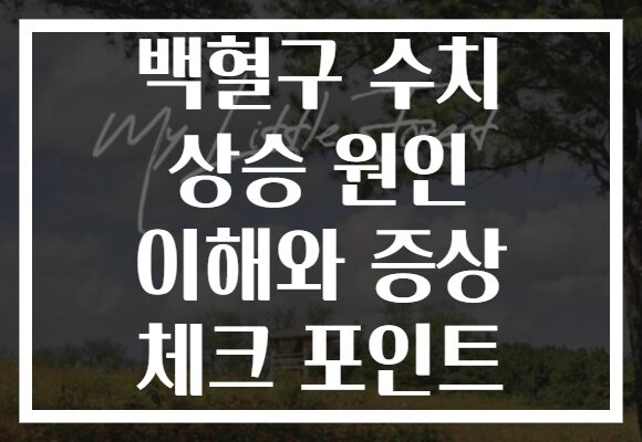 백혈구 수치 상승 원인 이해와 증상 체크 포인트