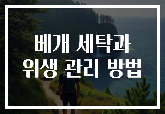 베개 세탁과 위생 관리 방법