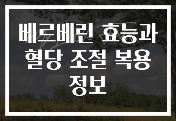 베르베린 효능과 혈당 조절 복용 정보