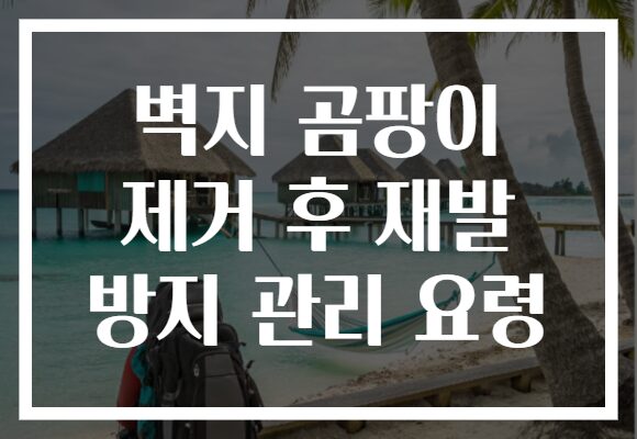 벽지 곰팡이 제거 후 재발 방지 관리 요령