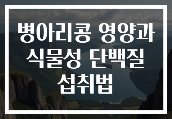 병아리콩 영양과 식물성 단백질 섭취법
