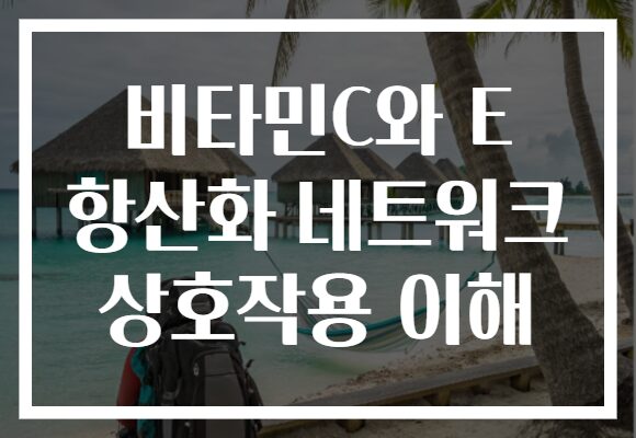 비타민C와 E 항산화 네트워크 상호작용 이해