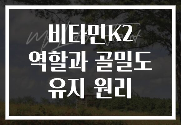 비타민K2 역할과 골밀도 유지 원리