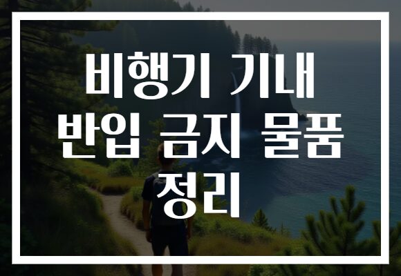 비행기 기내 반입 금지 물품 정리