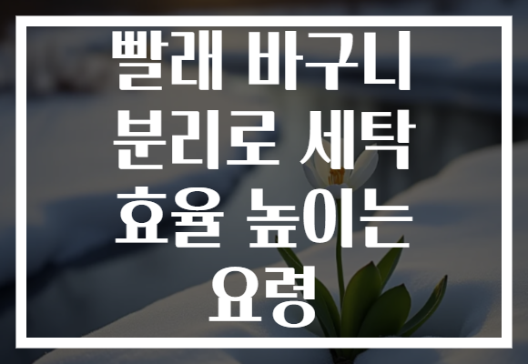 빨래 바구니 분리로 세탁 효율 높이는 요령