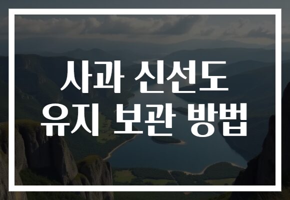 사과 신선도 유지 보관 방법