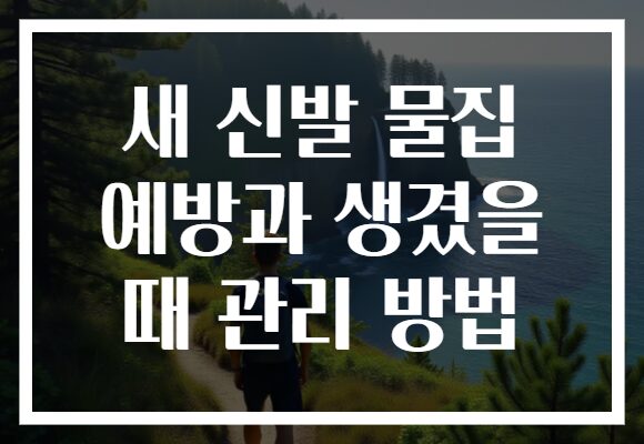 새 신발 물집 예방과 생겼을 때 관리 방법