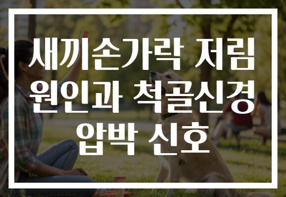 새끼손가락 저림 원인과 척골신경 압박 신호