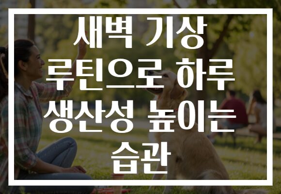 새벽 기상 루틴으로 하루 생산성 높이는 습관