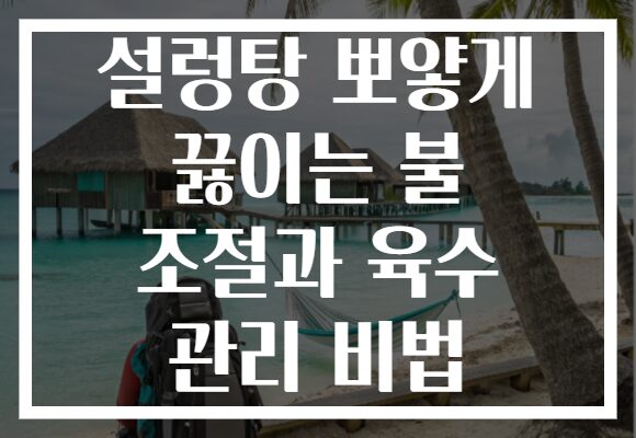 설렁탕 뽀얗게 끓이는 불 조절과 육수 관리 비법