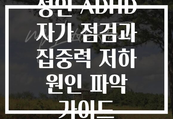 성인 ADHD 자가 점검과 집중력 저하 원인 파악 가이드