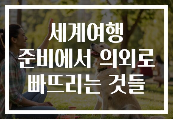 세계여행 준비에서 의외로 빠뜨리는 것들