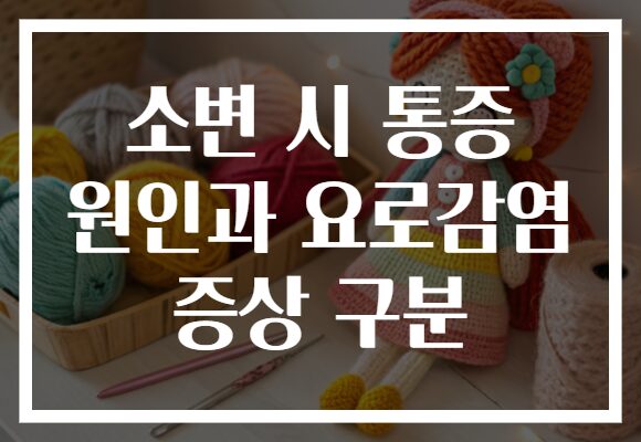 소변 시 통증 원인과 요로감염 증상 구분