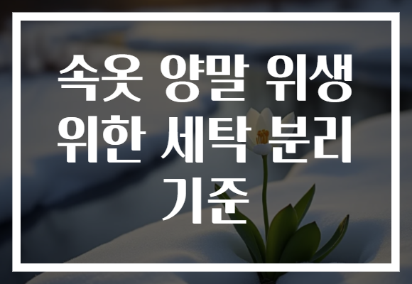 속옷 양말 위생 위한 세탁 분리 기준