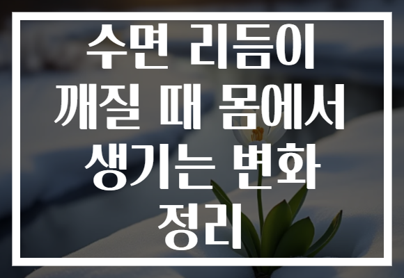 수면 리듬이 깨질 때 몸에서 생기는 변화 정리