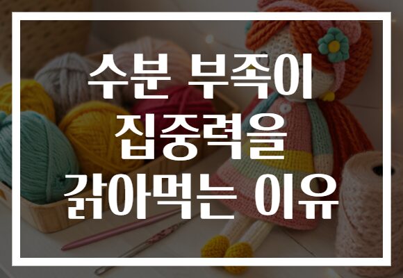 수분 부족이 집중력을 갉아먹는 이유