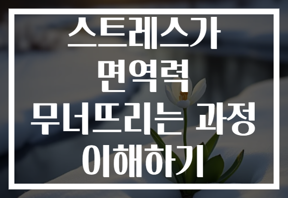 스트레스가 면역력 무너뜨리는 과정 이해하기