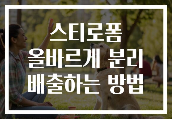 스티로폼 올바르게 분리 배출하는 방법