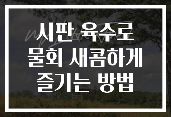 시판 육수로 물회 새콤하게 즐기는 방법