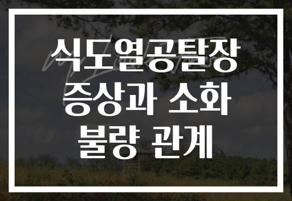 식도열공탈장 증상과 소화 불량 관계